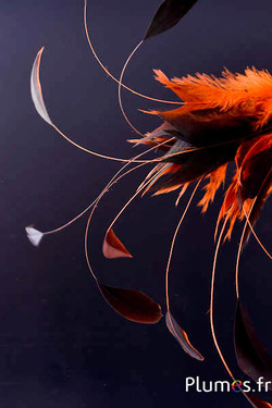 Haan zweep Body Split - 23-28 cm - zwart-oranje